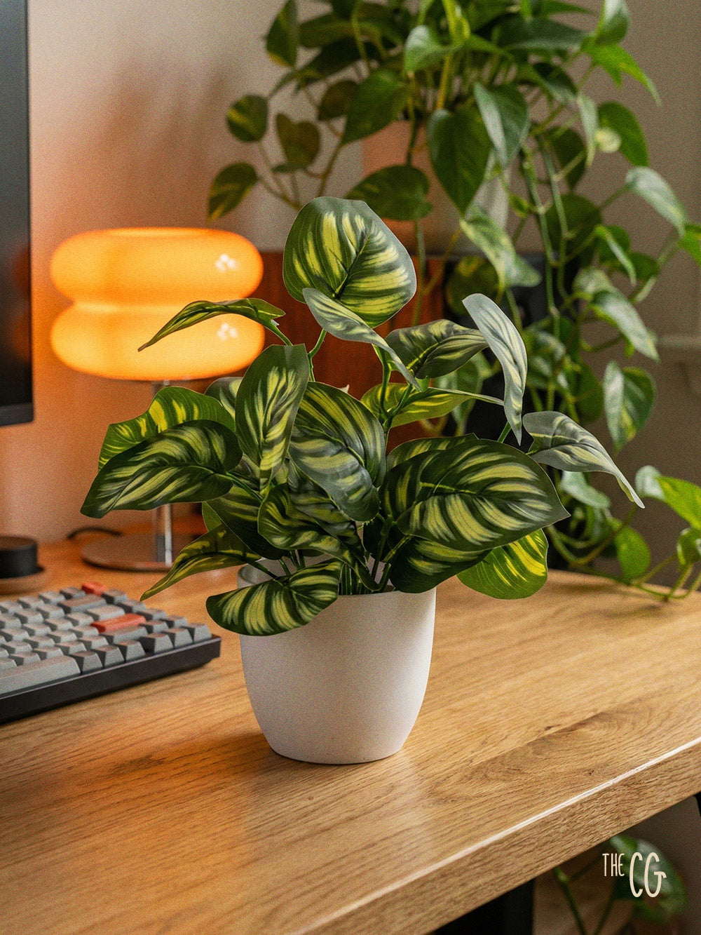 The Cozy Plant - Mini