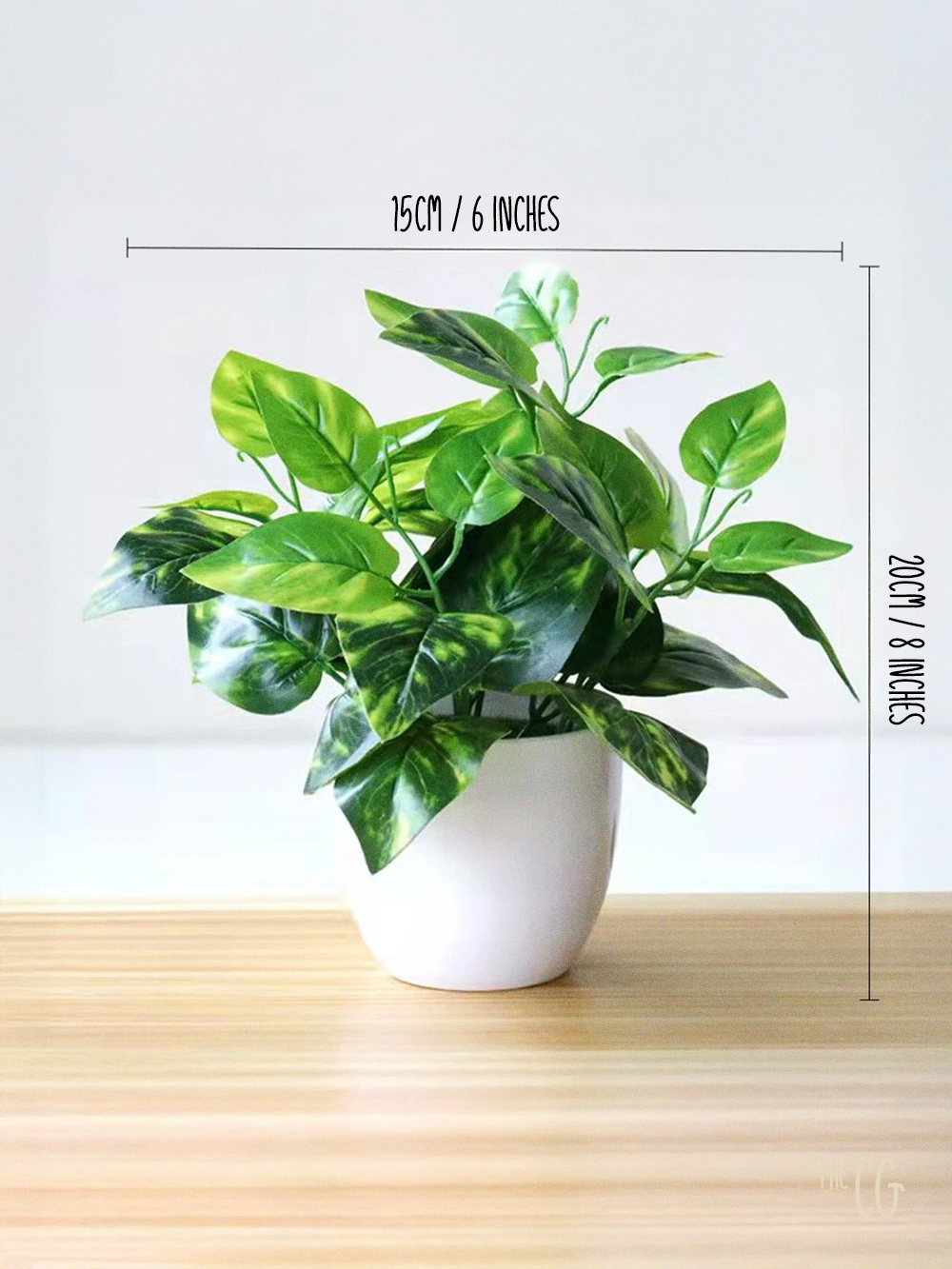 The Cozy Plant - Mini