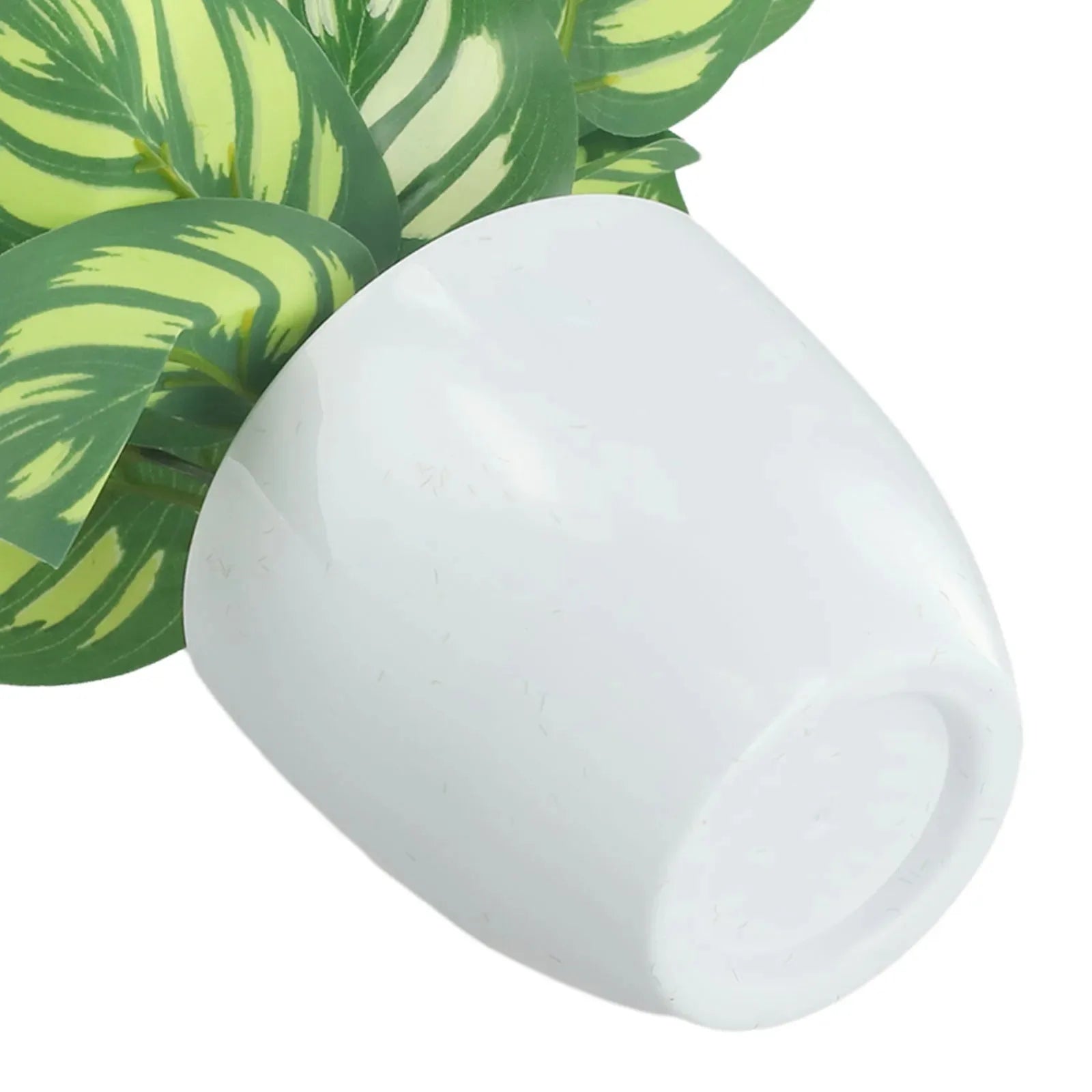 The Cozy Plant - Mini